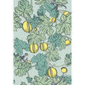 Kravet by Lee Jofa wallpaper Frutto 114_1002_cs