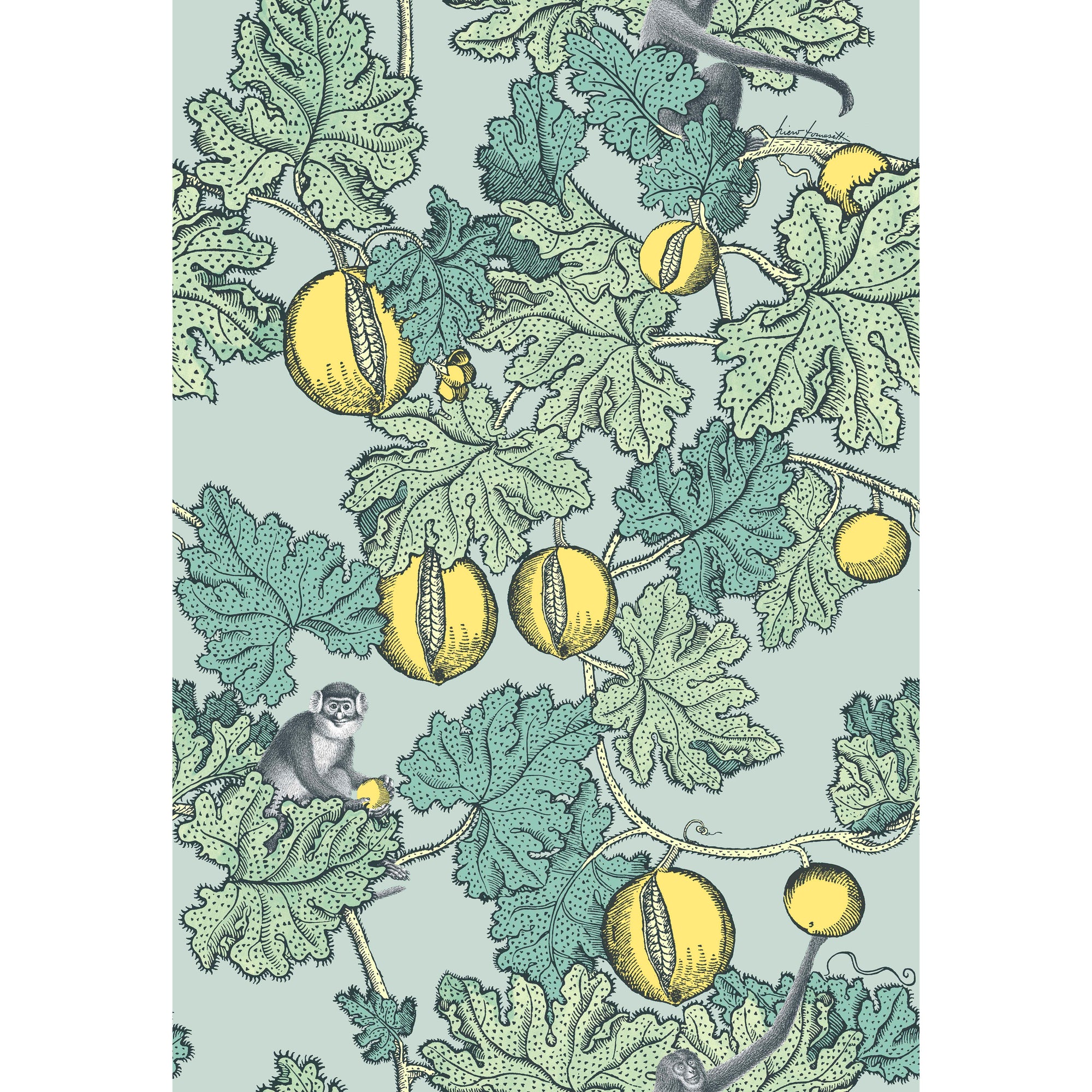 Kravet by Lee Jofa wallpaper Frutto 114_1002_cs