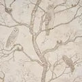 Schumacher wallpaper L’attesa nella notte 5017091