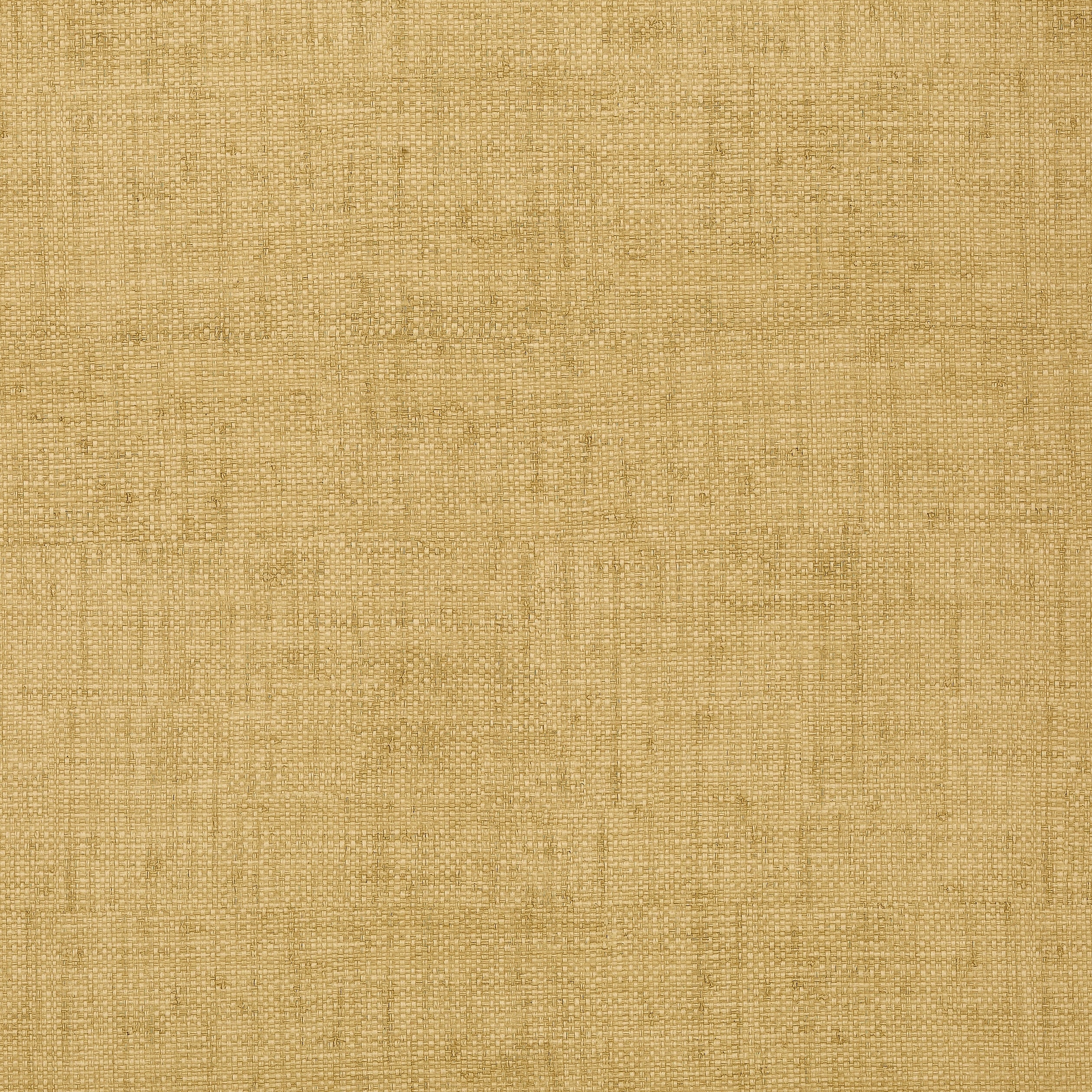 Thibaut wallpaper Bankun Raffia T6811