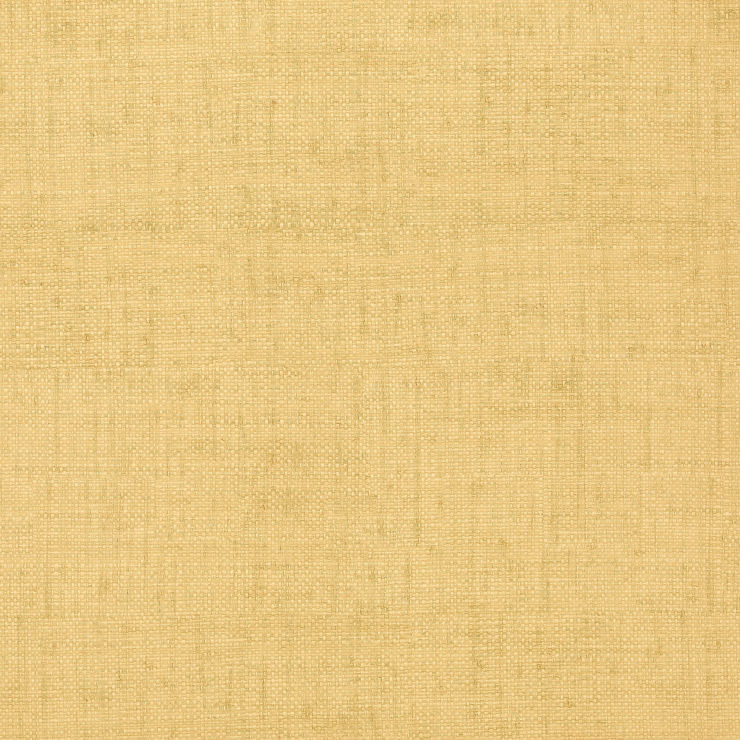 Thibaut wallpaper Bankun Raffia T6813